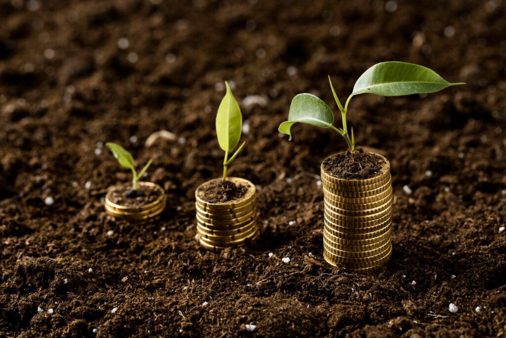 5 Dicas de finanças que funcionam: fuja dos erros